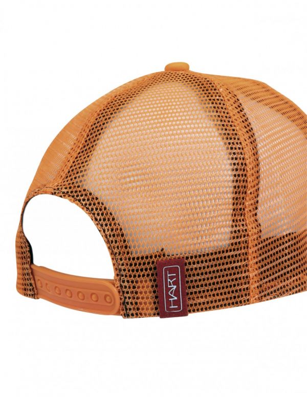 HART MESH-C